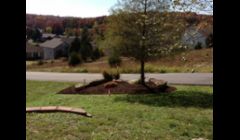 New mulch for a customer in Rain tree Hillsboro, MO