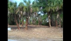 This site looked like a jungle before we started.
