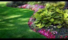 Landscaping Fort Myers FL