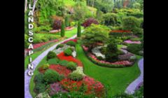 Lawn Maintenance Fort Myers FL