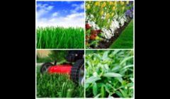Lawn Care Fort Myers FL