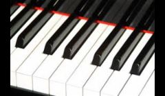 When has your piano been tuned and adjusted to sound and play beautifully?