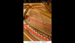 I replace bass strings when they break or when they are too old.  Sometimes I can make them sound  livelier by a process of cleaning and twisting them and re-installing them instead of replacing.