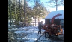 Tree services