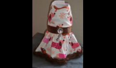 One of our boutique style dresses.  Dresses range from $10-$20 and come in XXS up to Medium sizes.