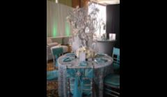 Teal and Silver make a gorgeous color scheme for any occasion. 