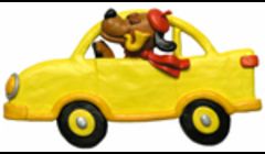 We provide pet taxi transport 24x7