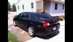 Tinted Malibu