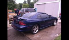 Tinted mustang
