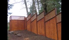 Cedar Lattice fence