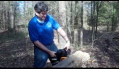 Handy Manny NC- Charlotte Handyman Service\nLandscaping, Lawnscaping, Tree Removal and Trimming, Hedge buidling, 