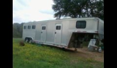 3 HORSE 