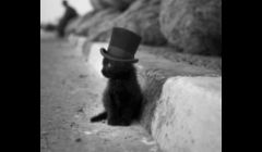kitty with a top hat who's car is broken down
