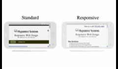 Standard Website and Responsive Website on Android Smartphone - Landscape Display - Screen Size 515 x 295.