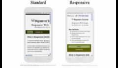 Standard Website and Responsive Website on Android Smartphone - Portrait Display - Screen Size 295 x 515.