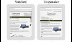Standard Website and Responsive Website on iPad Tablet - Portrait Display - Screen Size 768 x 1024.