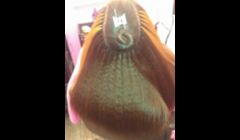 Full head of Brazilian knots