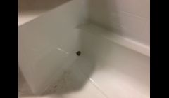 Do you need some one to repair a fiberglass bathtub or shower. Experts in fiberglass repair, most fiberglass bathtub repairs are under $125.00