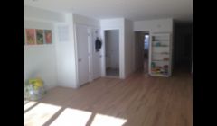Interior Gut Renovation