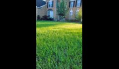 Ant Removal Company Riverside CA