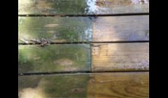 Before & After Wood Deck