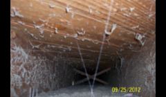 Return Line Before Cleaning