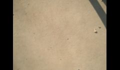 Gas Station concrete pad after pressure washing.  So clean that it increased the locations customer flow!