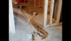 Basement plumbing rough in in Overland Park ks. 