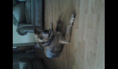 Riley says 