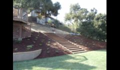 Grass with wooden stairs