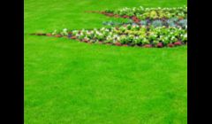 Landscaping Woodstock IL