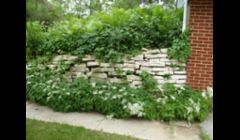 Lannon Stone wall before
