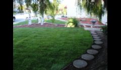 Grass with stepping stones