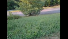 Before the hill was mowed. No yard to big.