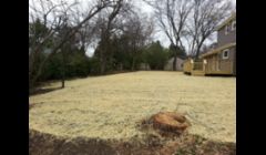 Backyard after