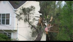 Wind and Storm Damage and Emergency Repairs for Lansing and Mid Michigan