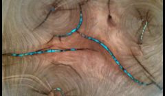 Close-up of Turquoise Inlay 1