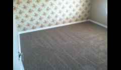 CARPET