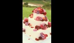Looking for the most beautiful cake you have ever seen? We can help you find it!