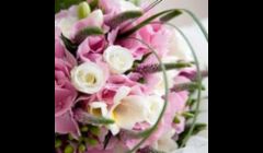 Real flowers or silk flowers? Red roses or white roses? Let us put you in touch with all the right answers for you.