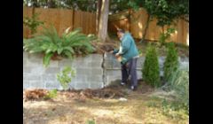 restoring a old retaining wall (BEFORE)\
\
STEP #1
