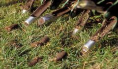 Core Aeration\\
