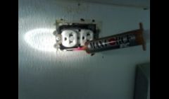 Proper way of baiting for Roaches and Carpenter Ants