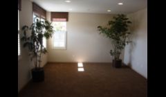 Interior paint