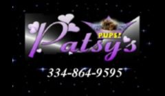 Call me for your beautiful healthy puppy at 334 864 9595 .