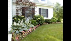 Landscape Design