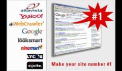 We will make your site #1!