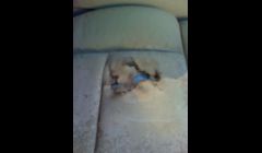 Leather seat damage 