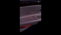 damaged door panel 