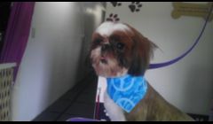 This is one of my clients